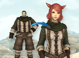 종족 성별 외모를 내 마음대로! 이미지