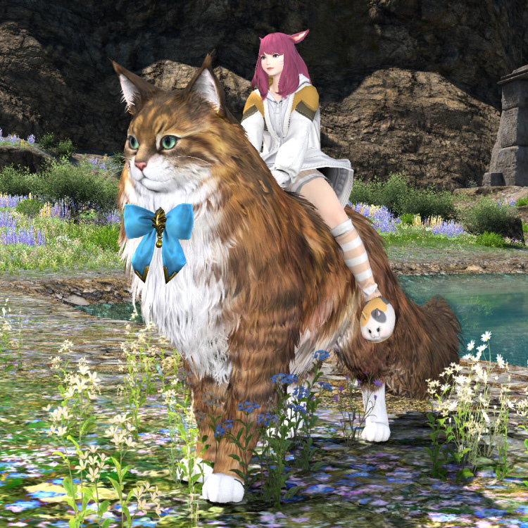 내일을 향한 이정표 신규 상품!