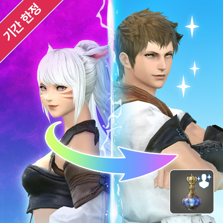 새해맞이 20% 특별 할인