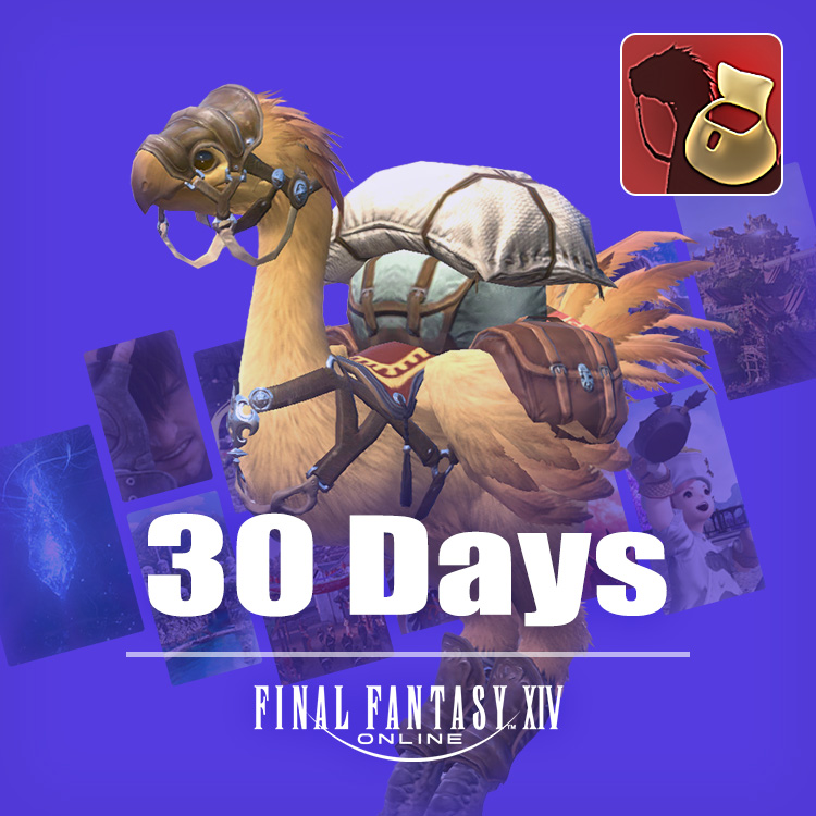 새해맞이 20% 특별 할인