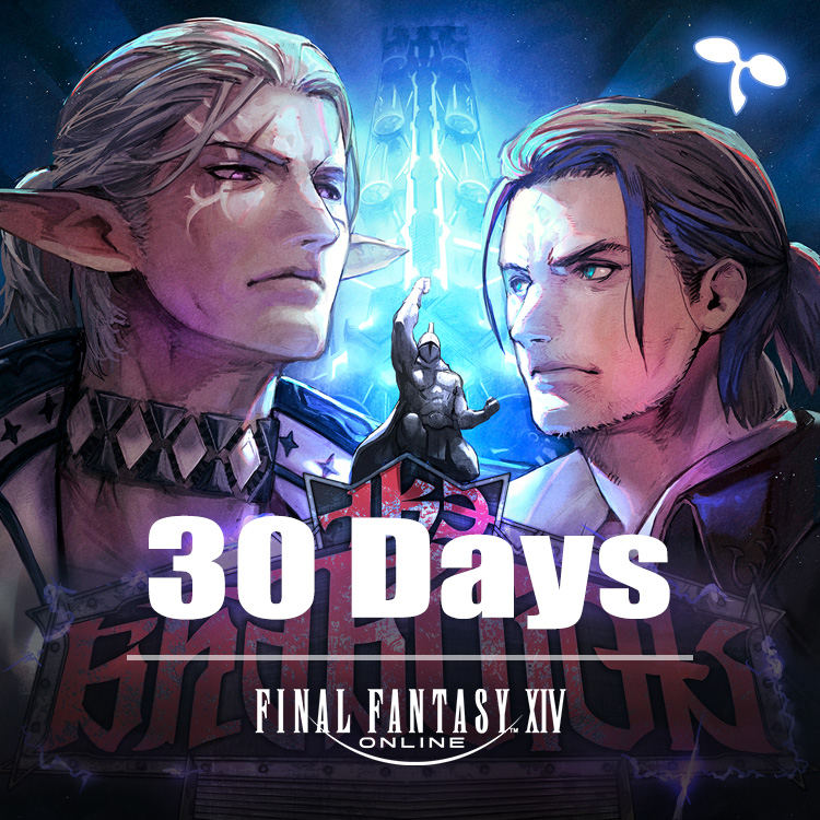 신규 모험가님 전용