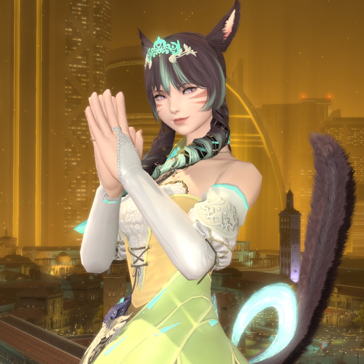 업데이트 기념 신규 상품!