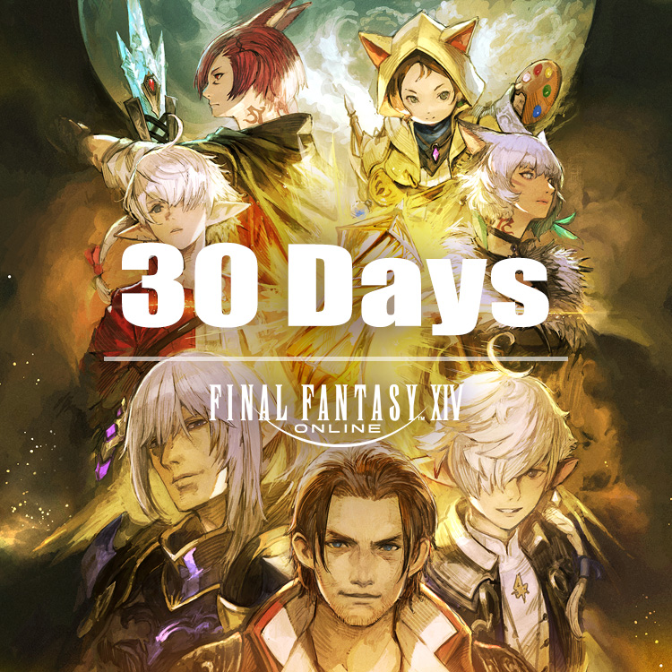 신규 모험가님 전용